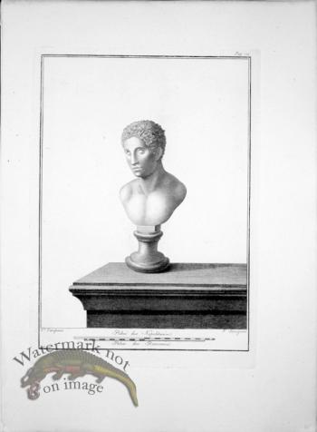 Ercolano Bust 07